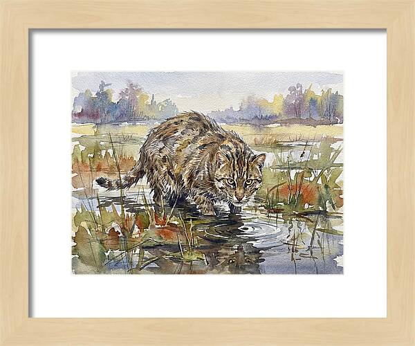 Elegant Fishing Cat In Action