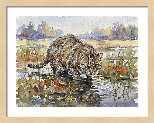 Elegant Fishing Cat In Action