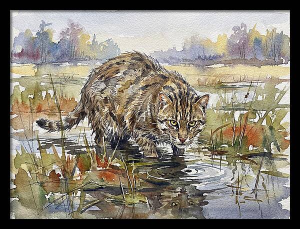 Elegant Fishing Cat In Action