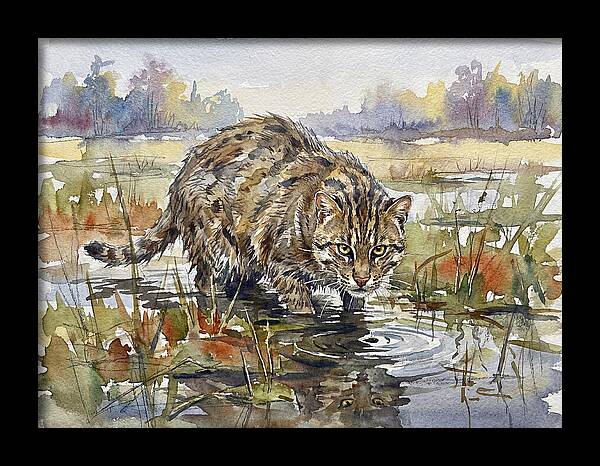 Elegant Fishing Cat In Action