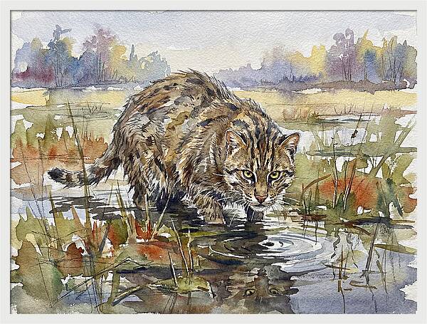 Elegant Fishing Cat In Action