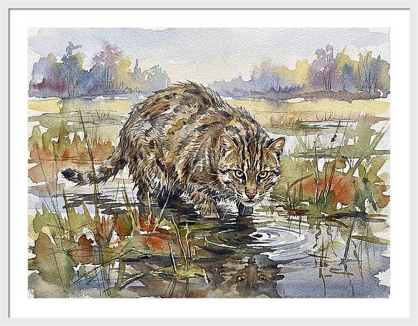 Elegant Fishing Cat In Action
