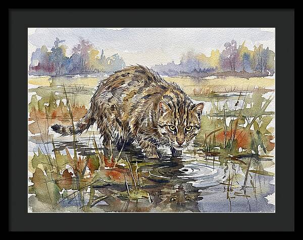 Elegant Fishing Cat In Action