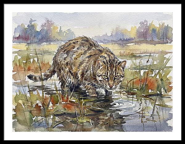 Elegant Fishing Cat In Action