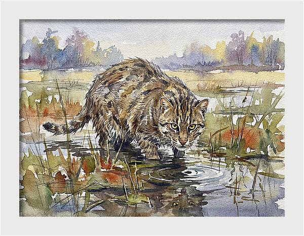 Elegant Fishing Cat In Action