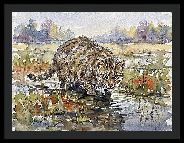 Elegant Fishing Cat In Action
