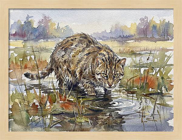 Elegant Fishing Cat In Action
