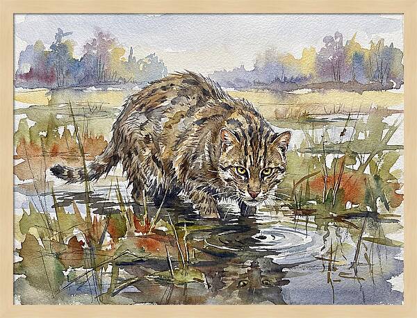 Elegant Fishing Cat In Action