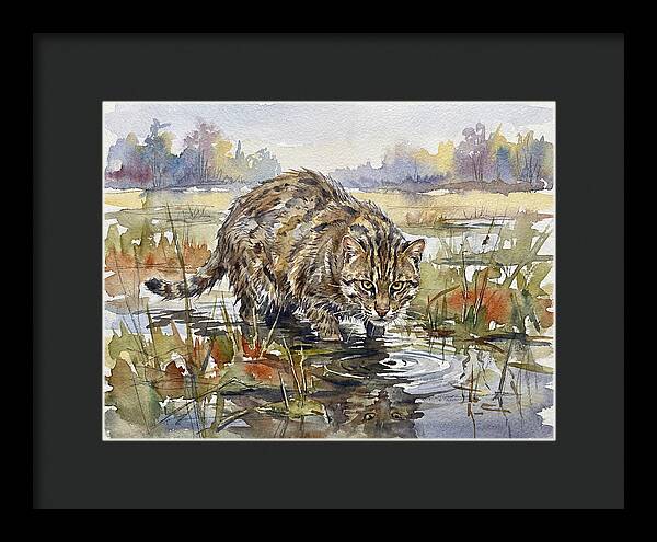 Elegant Fishing Cat In Action