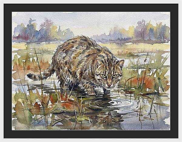 Elegant Fishing Cat In Action