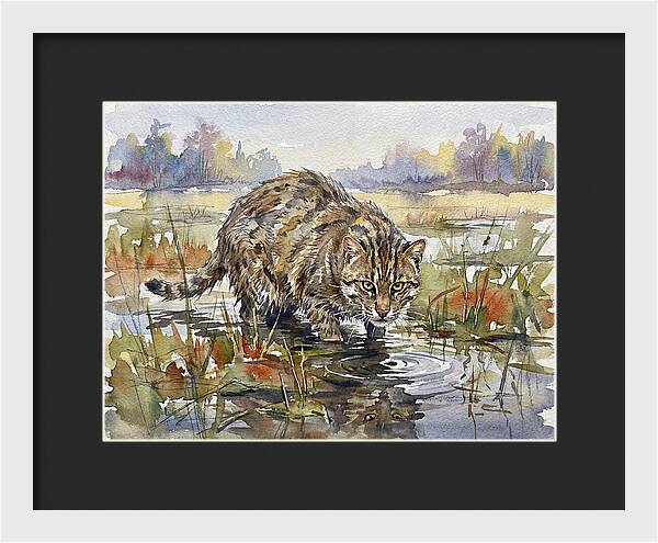 Elegant Fishing Cat In Action