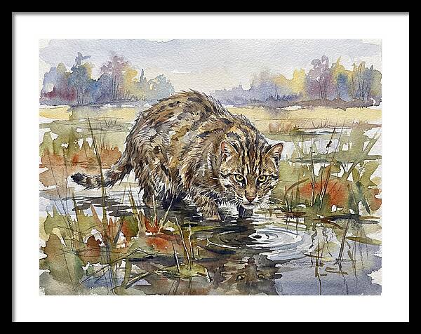 Elegant Fishing Cat In Action