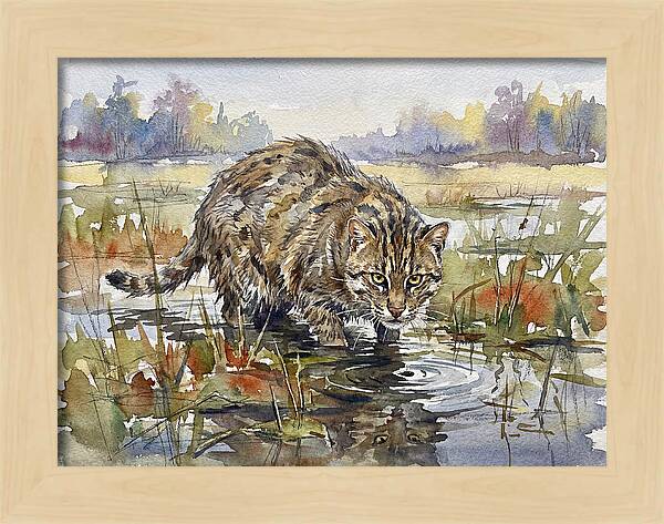 Elegant Fishing Cat In Action