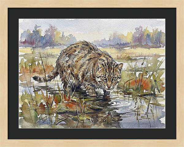 Elegant Fishing Cat In Action