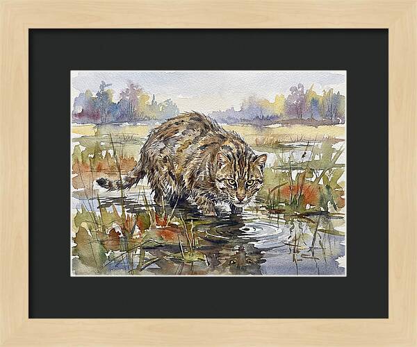 Elegant Fishing Cat In Action