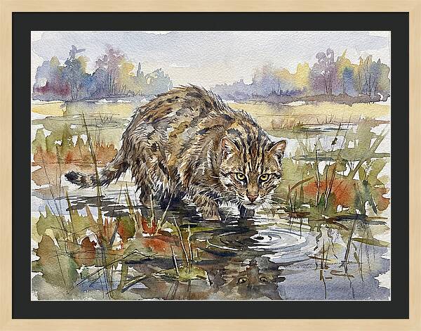 Elegant Fishing Cat In Action