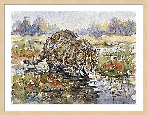 Elegant Fishing Cat In Action