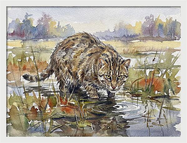 Elegant Fishing Cat In Action