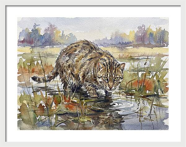 Elegant Fishing Cat In Action