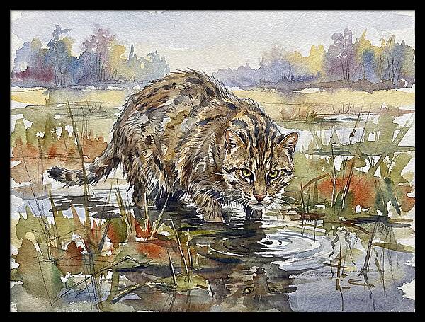 Elegant Fishing Cat In Action