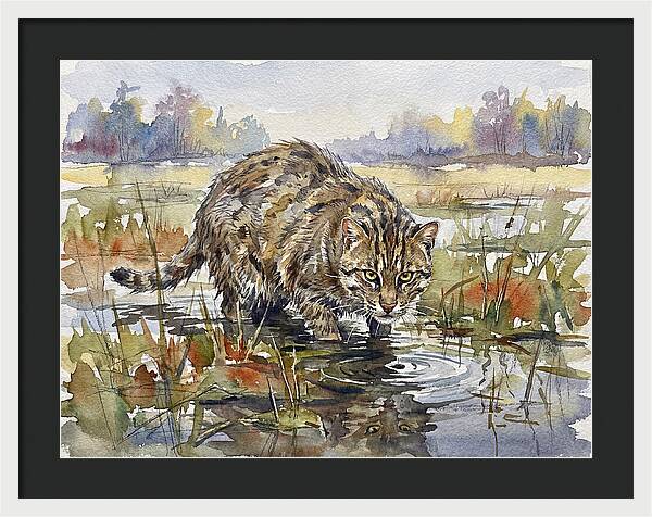 Elegant Fishing Cat In Action