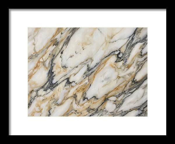 Elegant Marble Veins