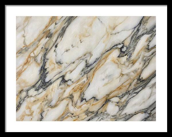 Elegant Marble Veins
