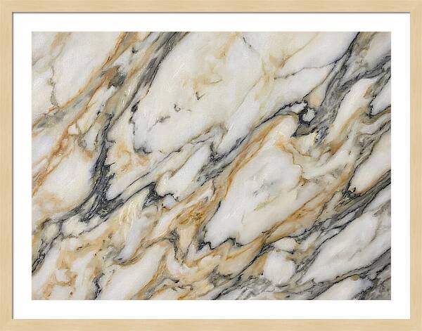 Elegant Marble Veins