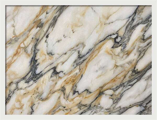 Elegant Marble Veins