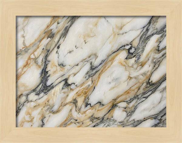 Elegant Marble Veins