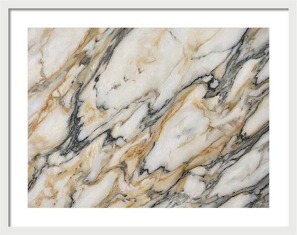 Elegant Marble Veins