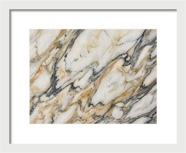 Elegant Marble Veins