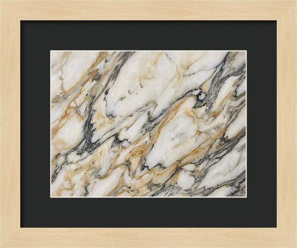 Elegant Marble Veins