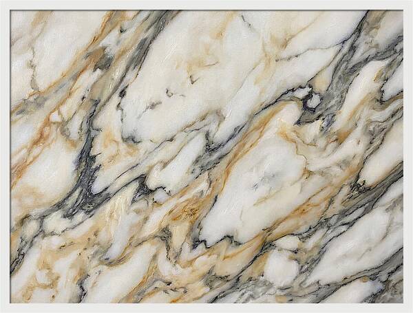 Elegant Marble Veins