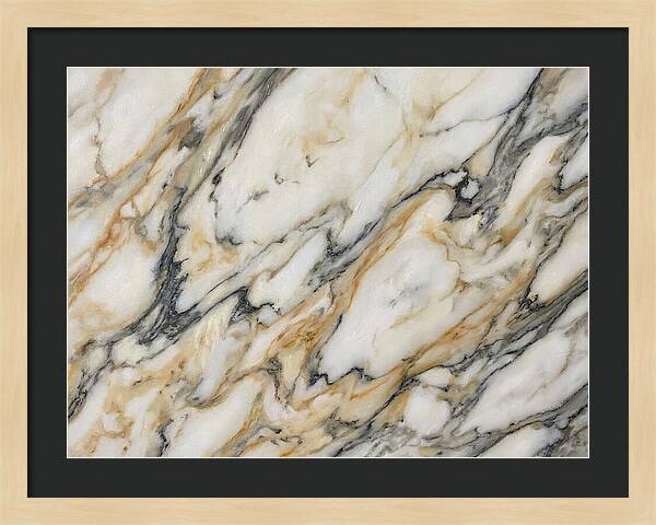 Elegant Marble Veins