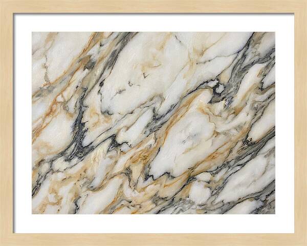 Elegant Marble Veins