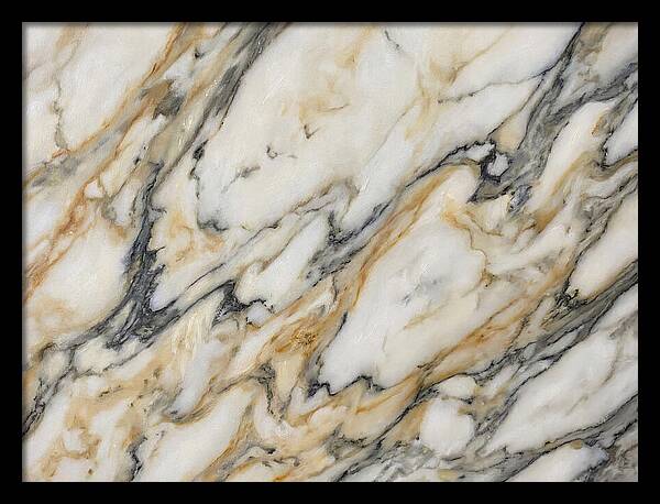 Elegant Marble Veins