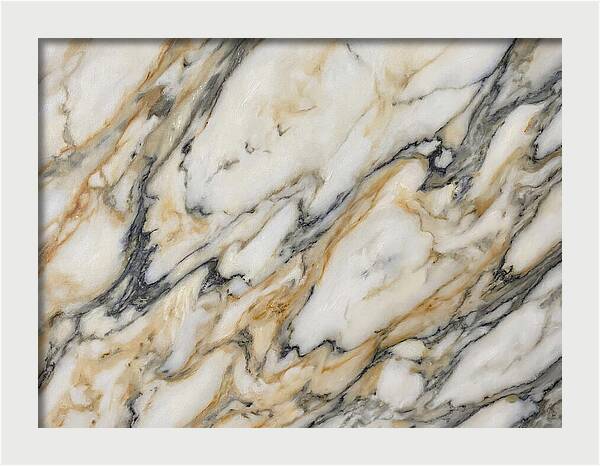 Elegant Marble Veins