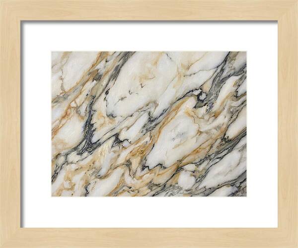 Elegant Marble Veins