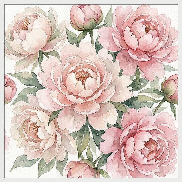 Elegant Peony Blossoms