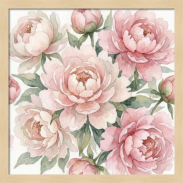 Elegant Peony Blossoms