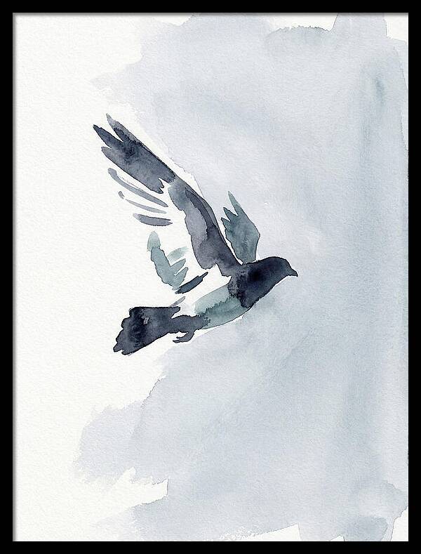 Elegant Pigeon Hawk In Flight