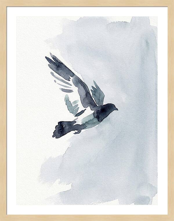 Elegant Pigeon Hawk In Flight