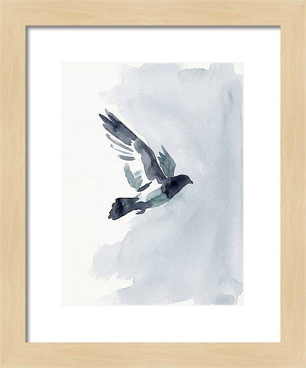 Elegant Pigeon Hawk In Flight