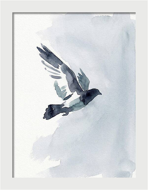 Elegant Pigeon Hawk In Flight