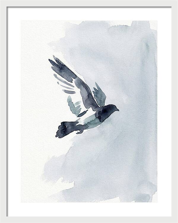 Elegant Pigeon Hawk In Flight