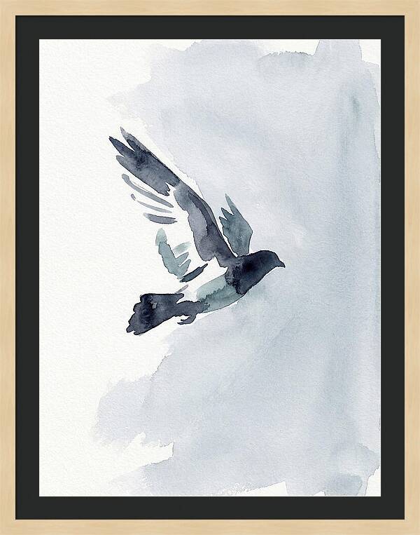 Elegant Pigeon Hawk In Flight