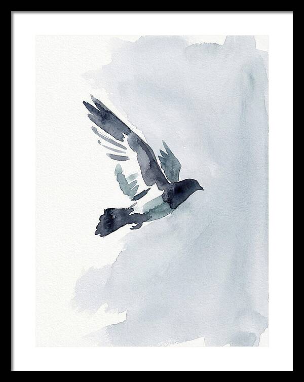 Elegant Pigeon Hawk In Flight