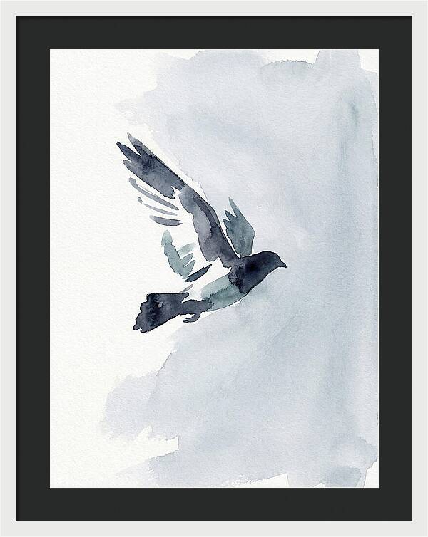 Elegant Pigeon Hawk In Flight
