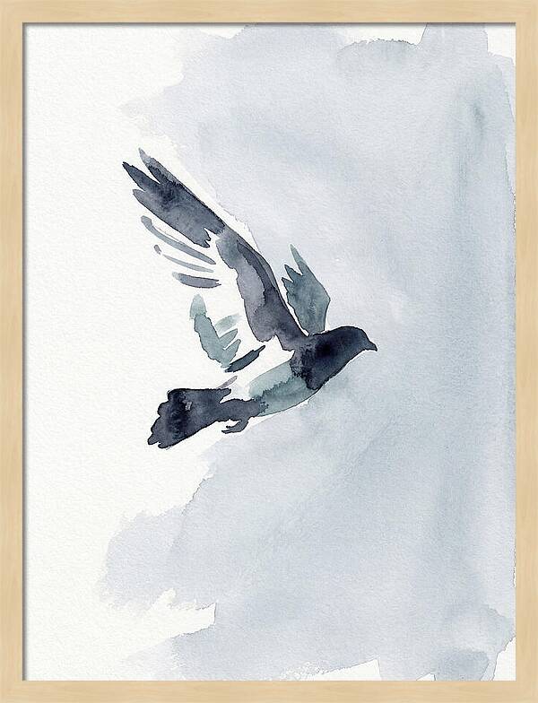 Elegant Pigeon Hawk In Flight